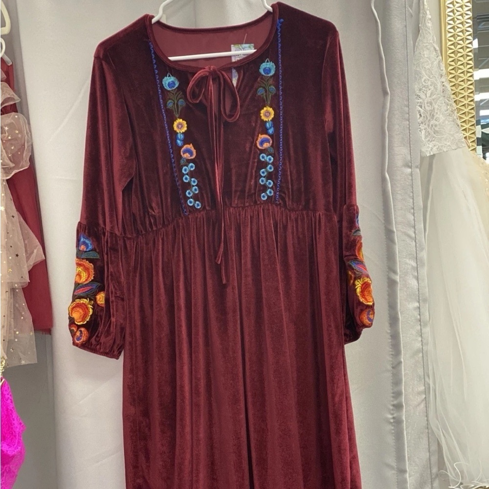 Embroidered Velvet Dress in Burgundy